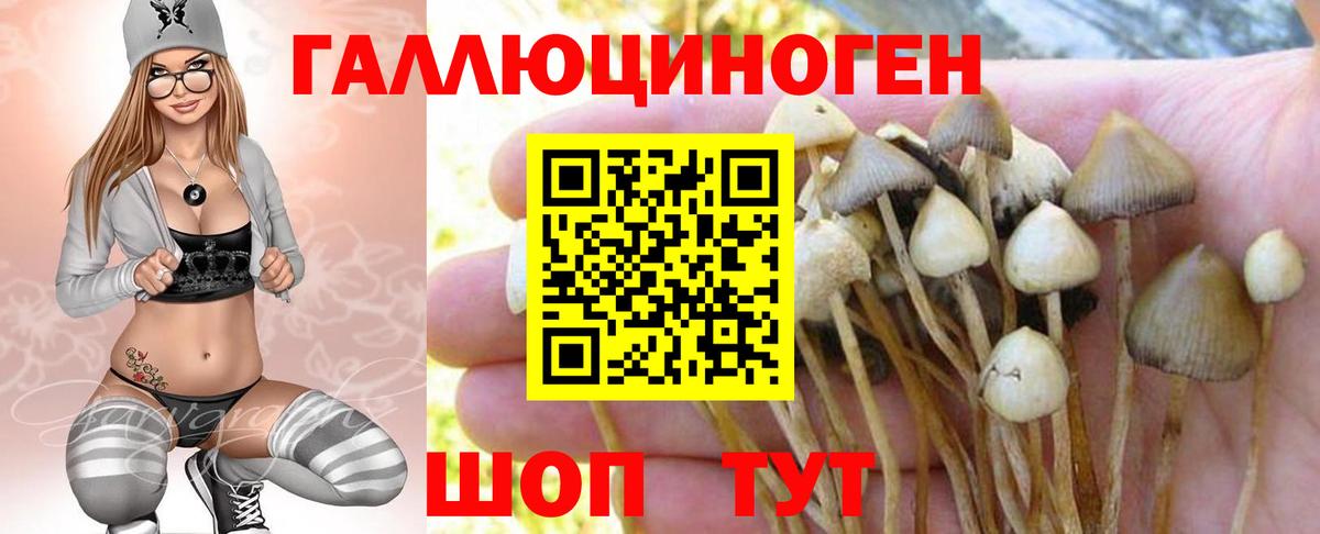 Кизилюрт  Псилоцибиновые грибы мухоморы  Псилоцибиновые грибы MAGIC MUSHROOMS  Вход с VPN 