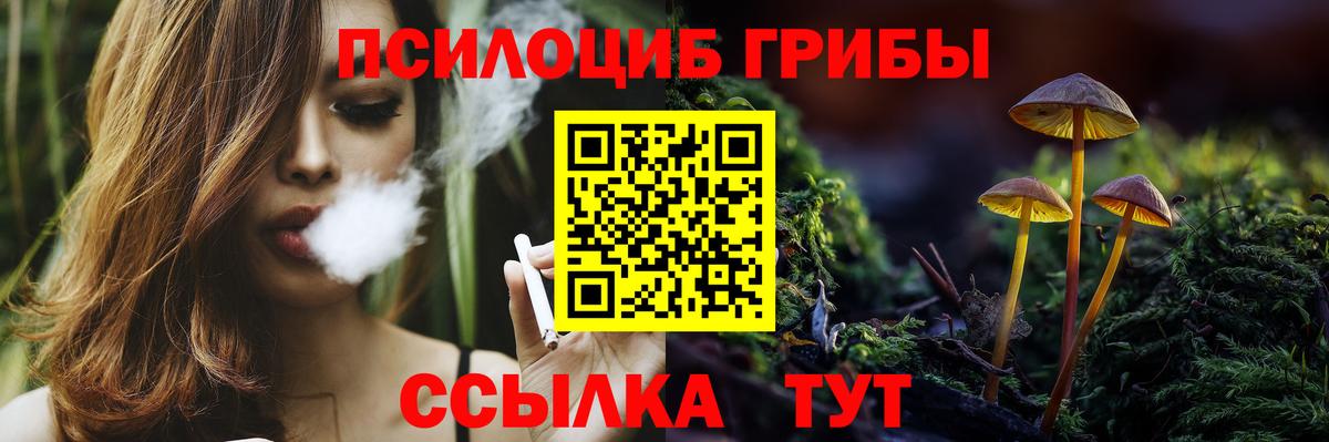 Галлюциногенные грибы Magic Shrooms Кизилюрт